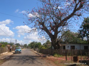 Countryside in Cuba