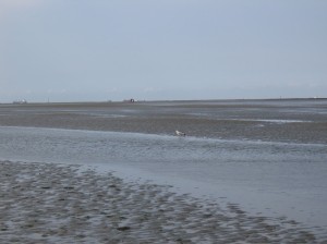 Cuxhaven Wattenmeer