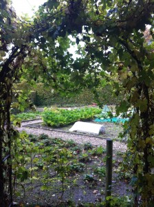 The royal kitchen garden at Marselisborg Palace