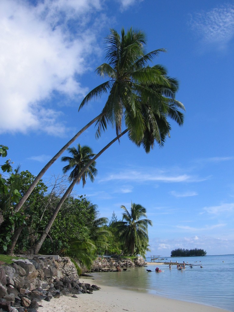 Beach with palm trees on Moorea