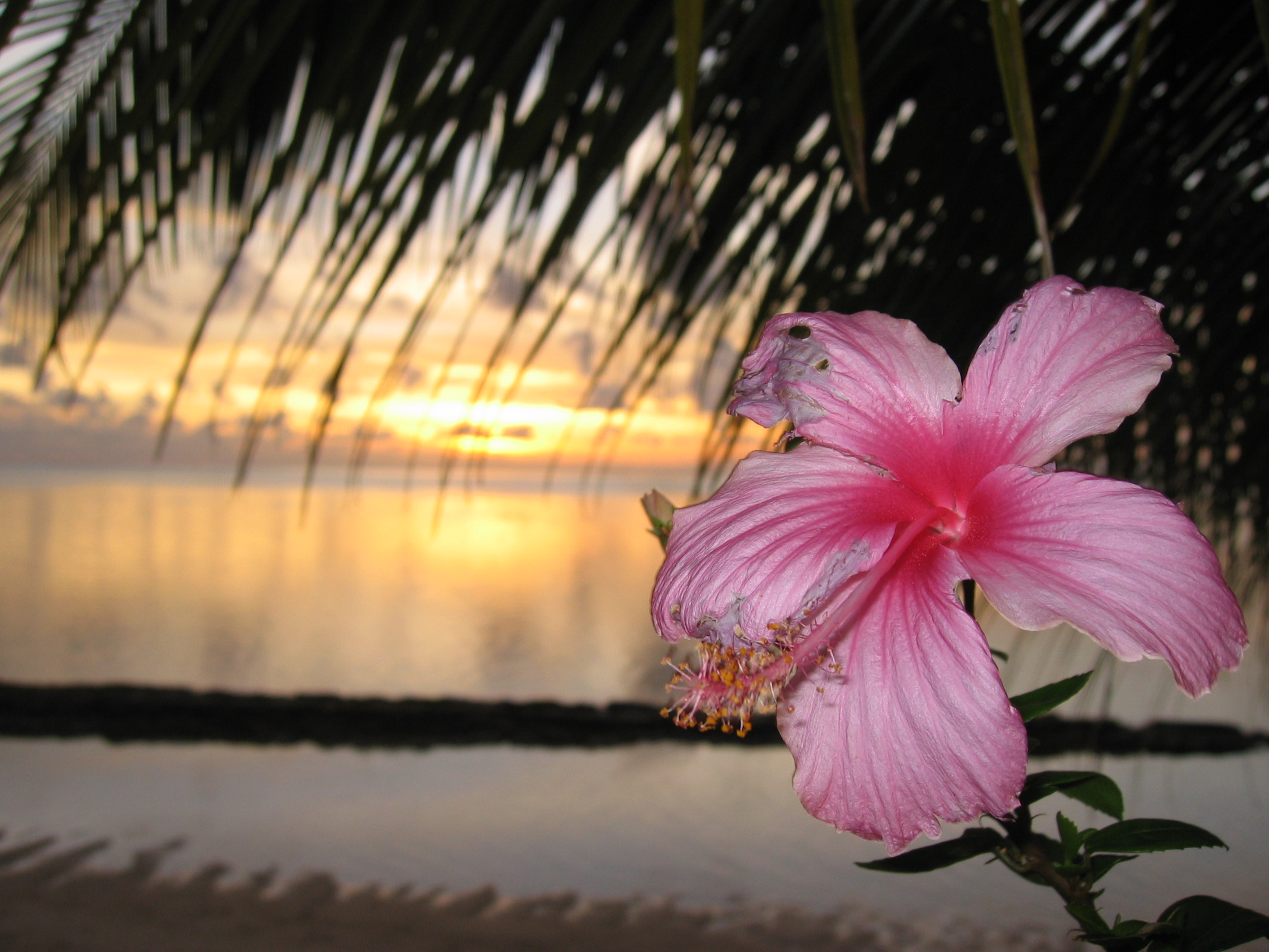 Being instead of doing, and no distraction in French Polynesia