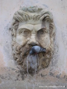 Dove drinking outside the Vatican Museums