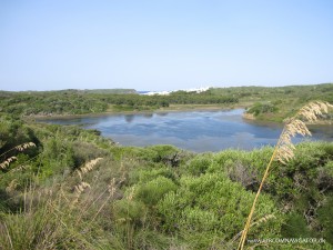 S'Albufera des Grau Natural Park Menorca