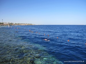 snorkling at Sharm el Sheikh