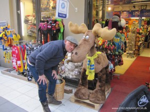 a moose and my brother in Stockholm