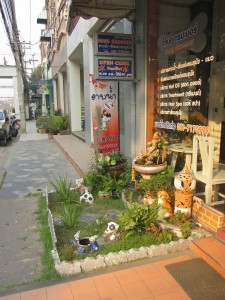 pet spa Chiang Mai Land road