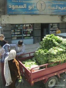 Egyptian lettuce salesman