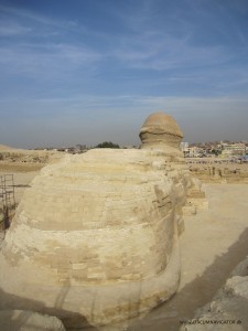 Tail of the Sphinx in Giza, Egypt